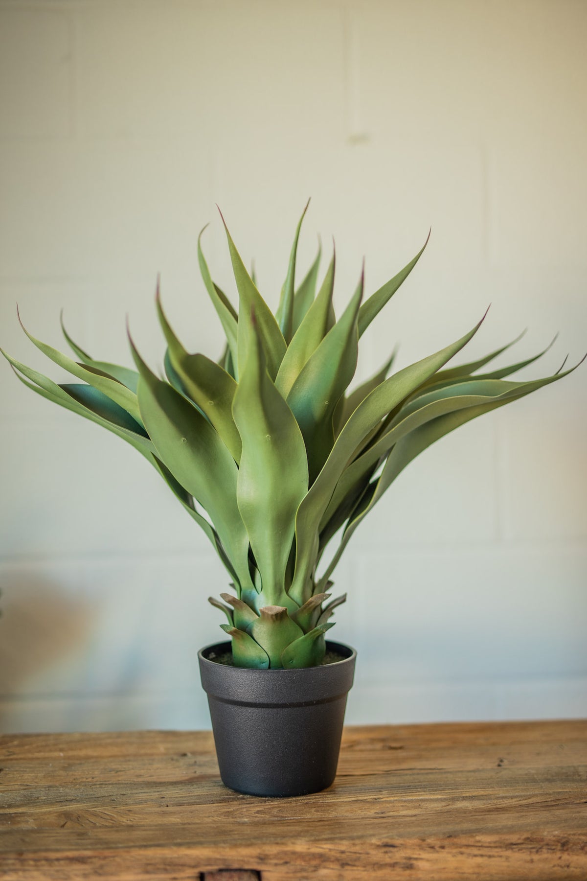 Faux Agave Plant in Pot