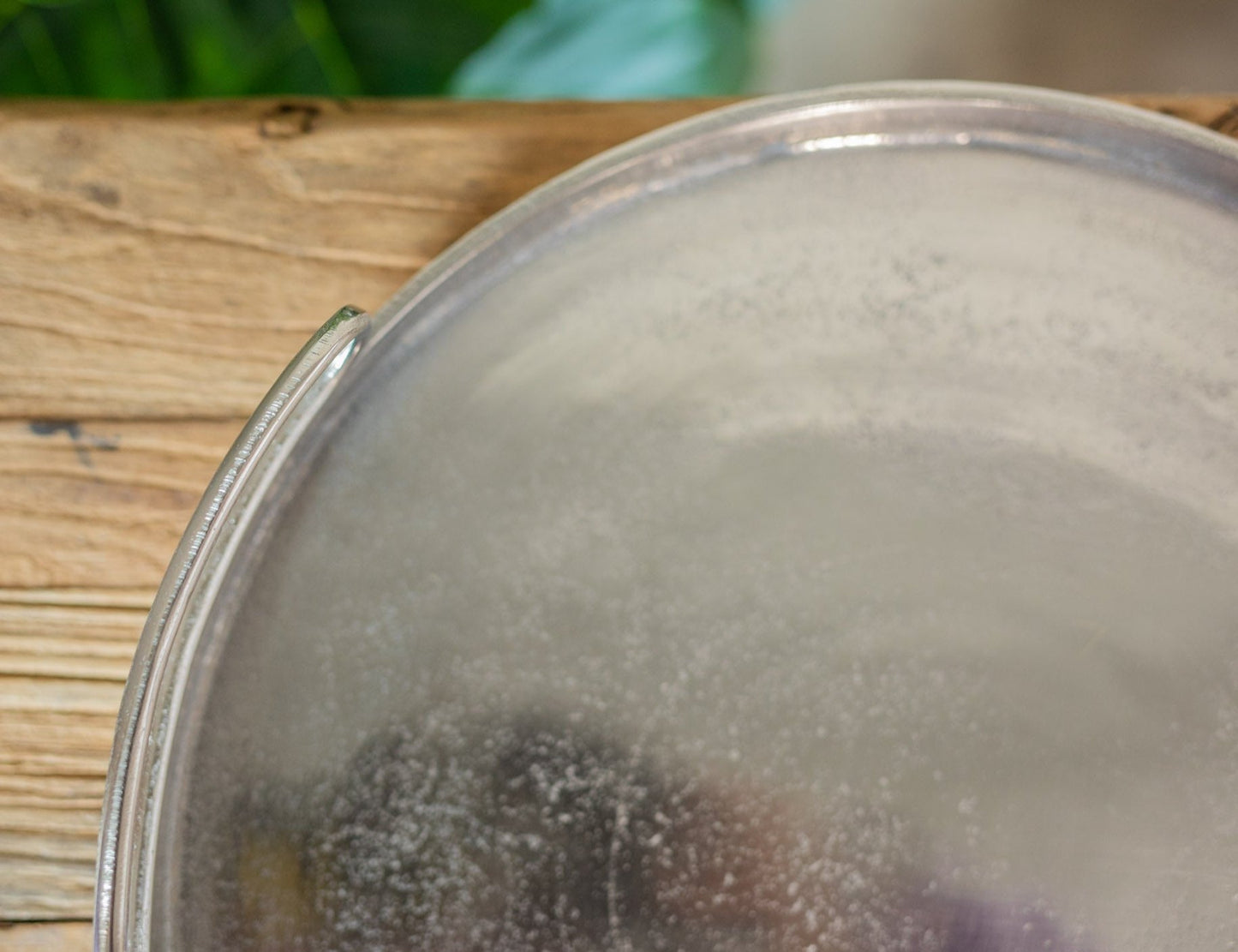 Argenti Round Metal Tray