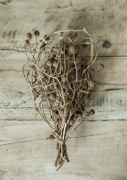Dried Natural Bora Bunch
