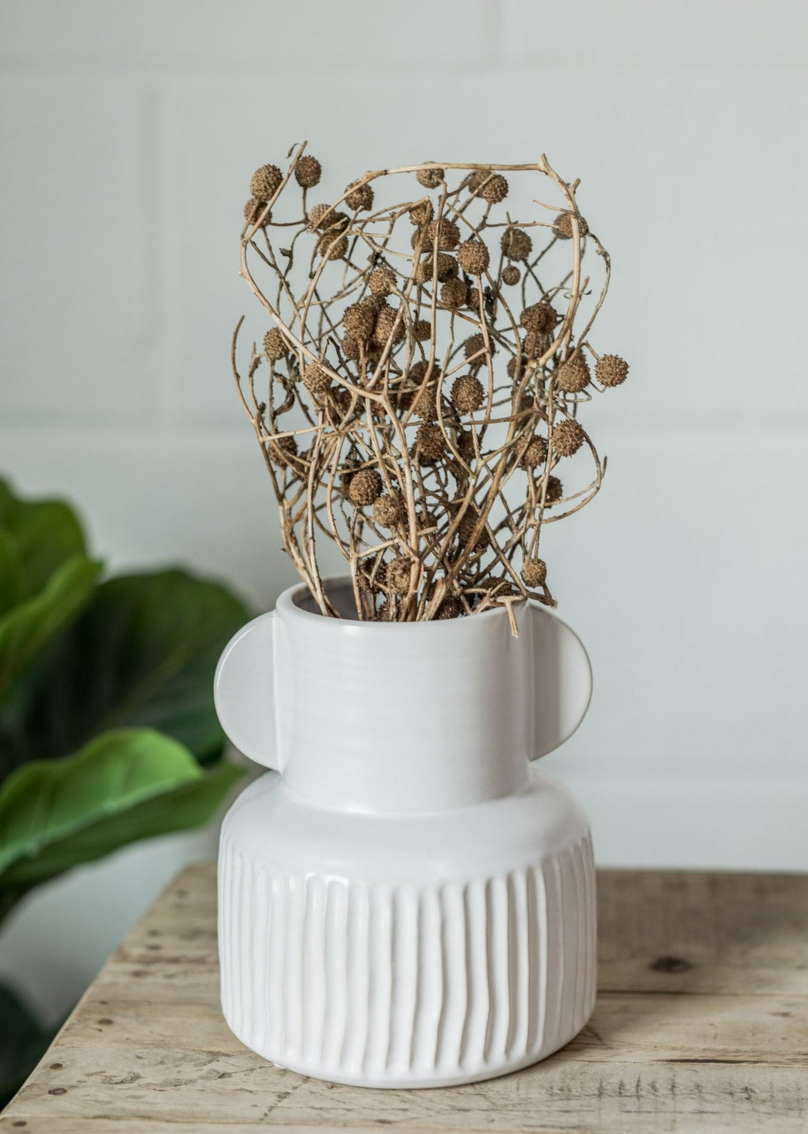 Dried Natural Bora Bunch