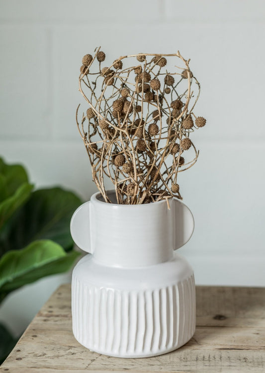 Dried Natural Bora Bunch