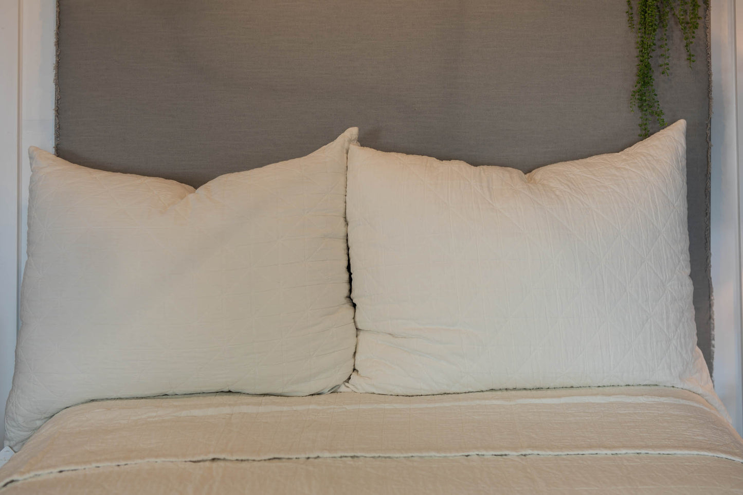 Ivory Marshall Collection