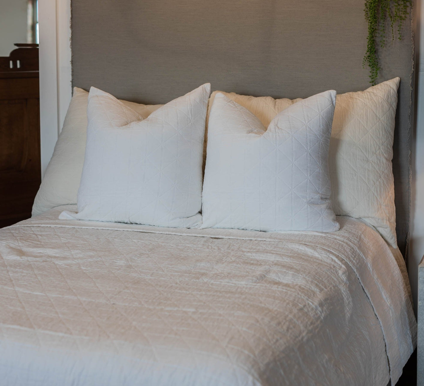 White Marshall Collection