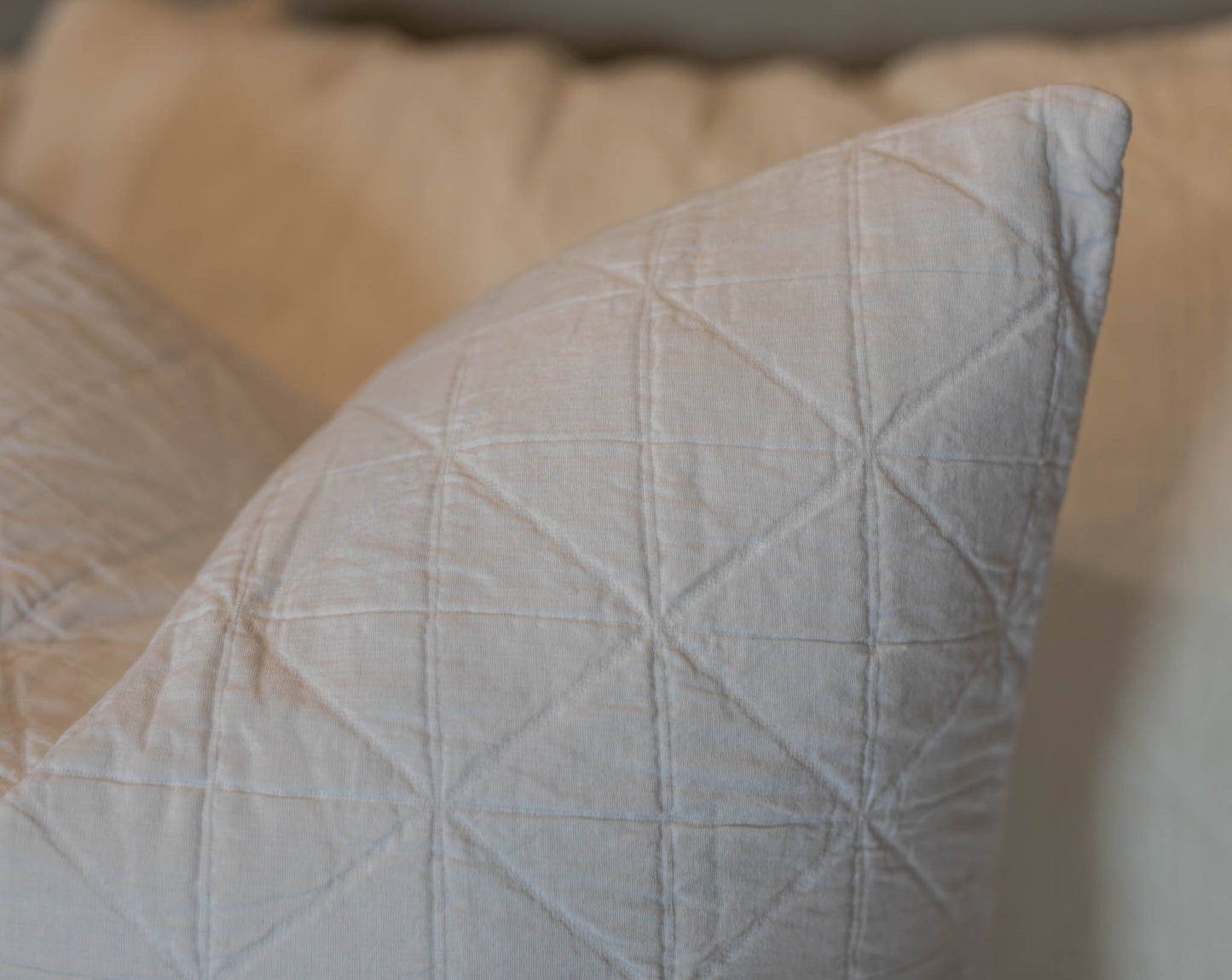 White Marshall Collection