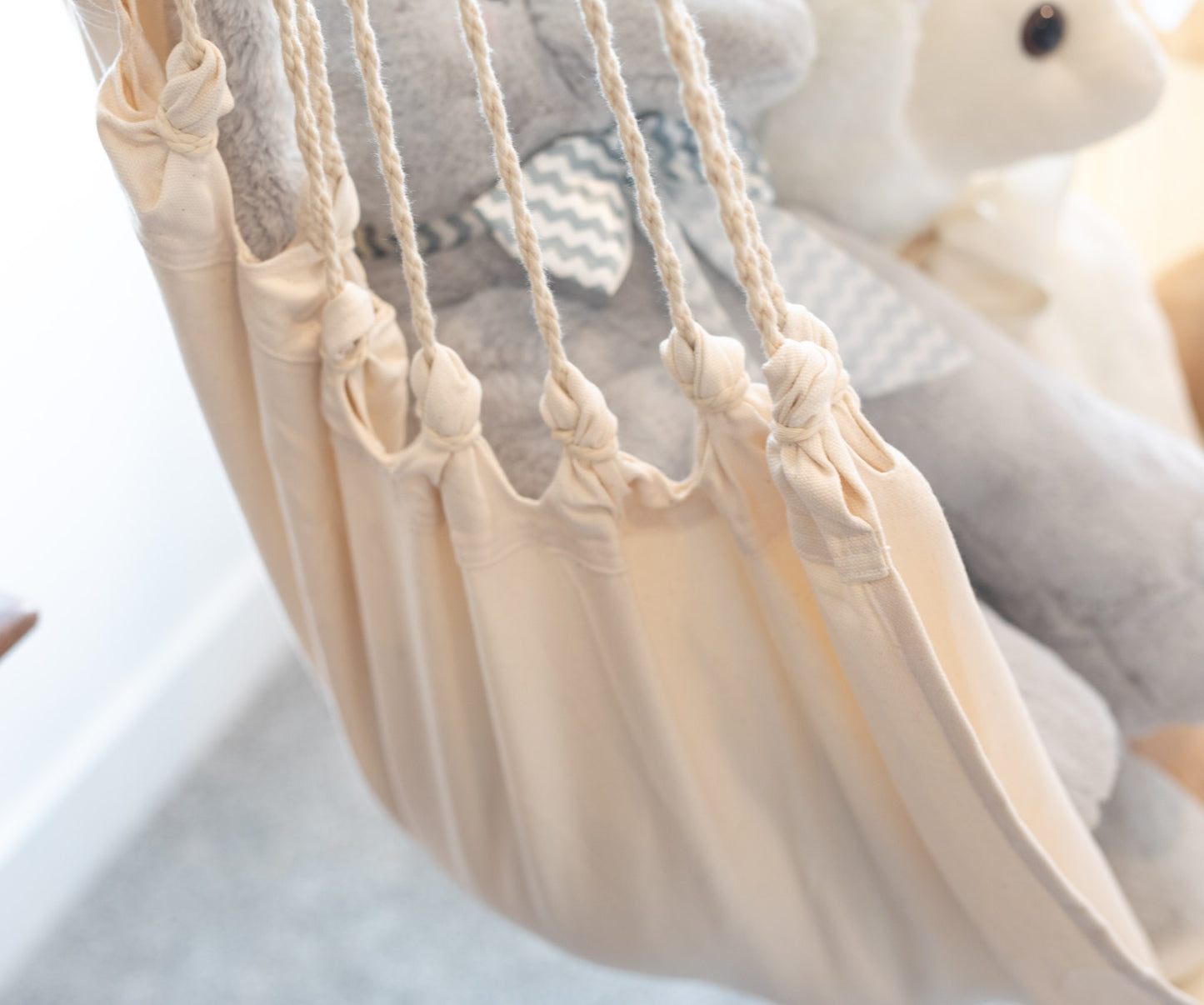 Canvas Hammock Chair