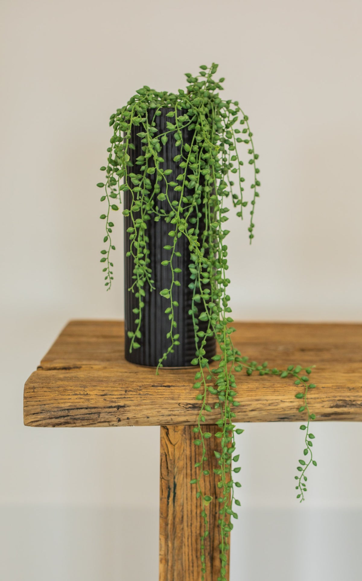 Faux String of Pearls