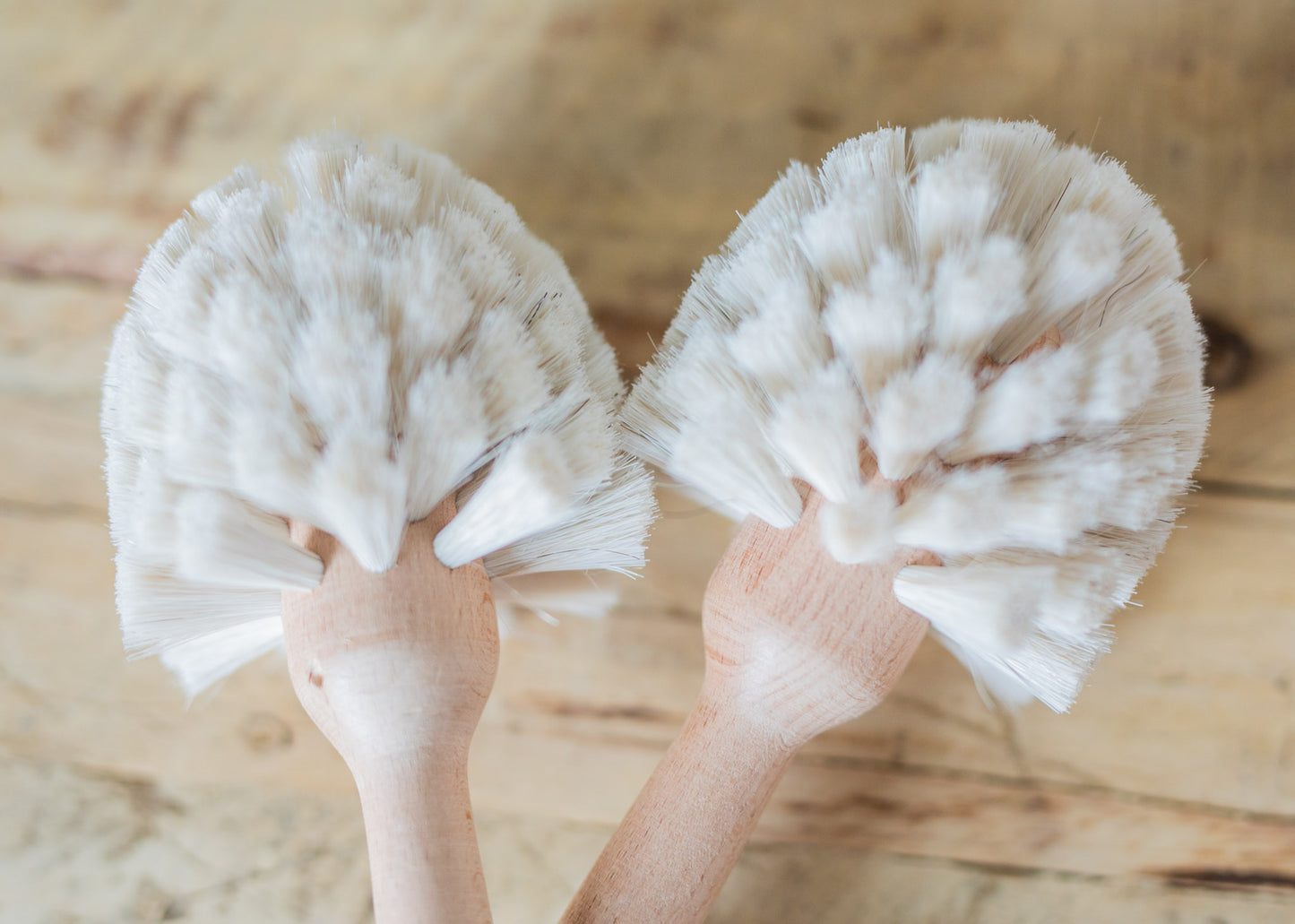 Beech Wood Dish Brush