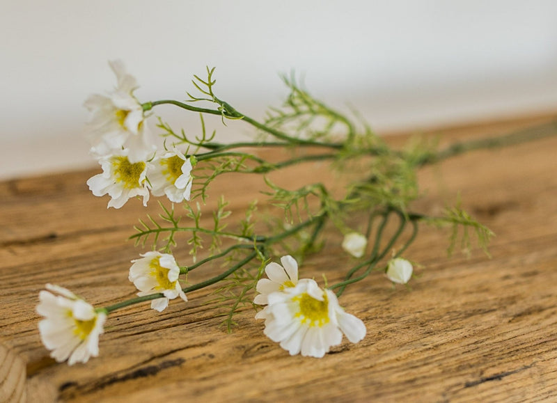 Faux Cosmos Stem