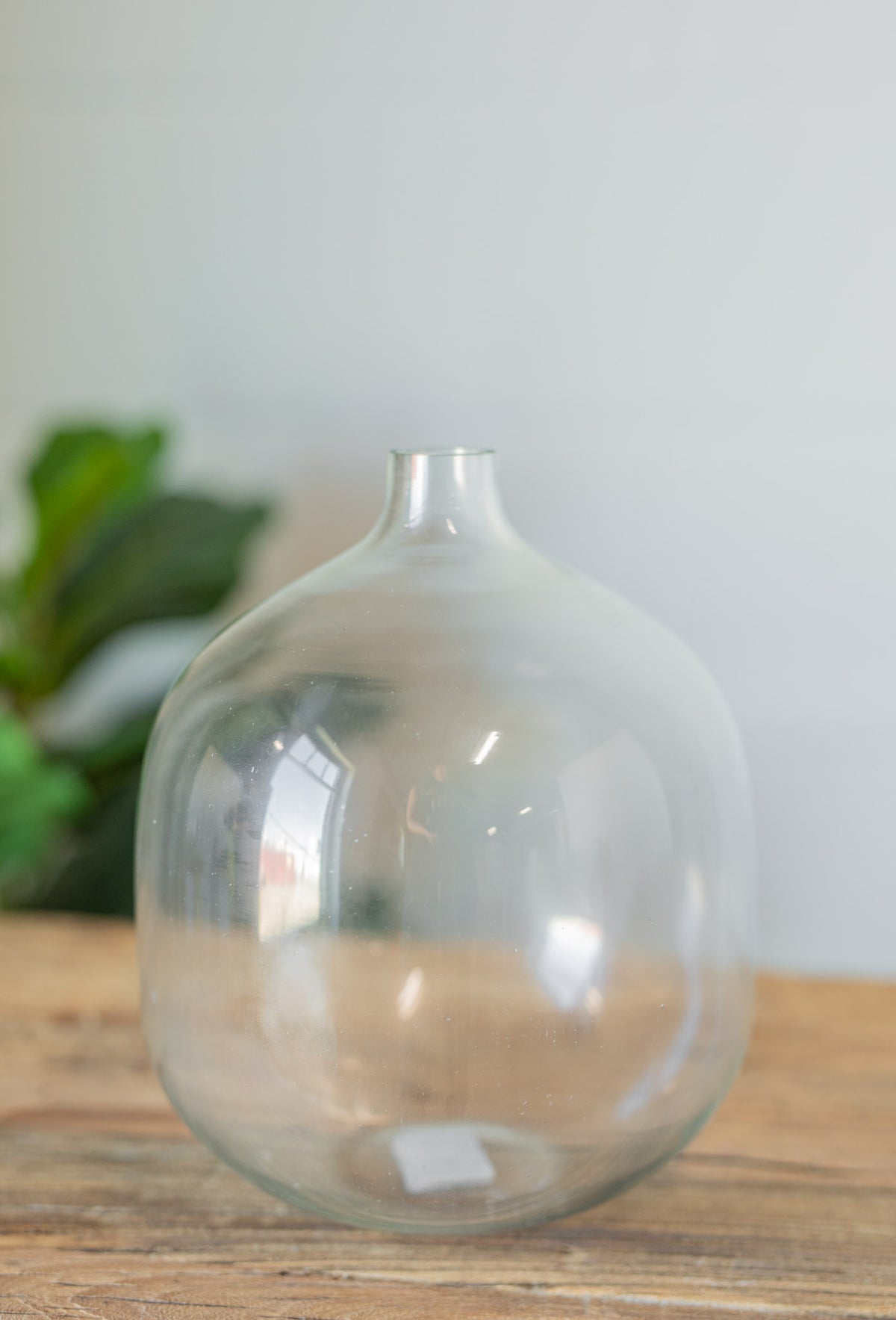 Mileena Clear Glass Vase