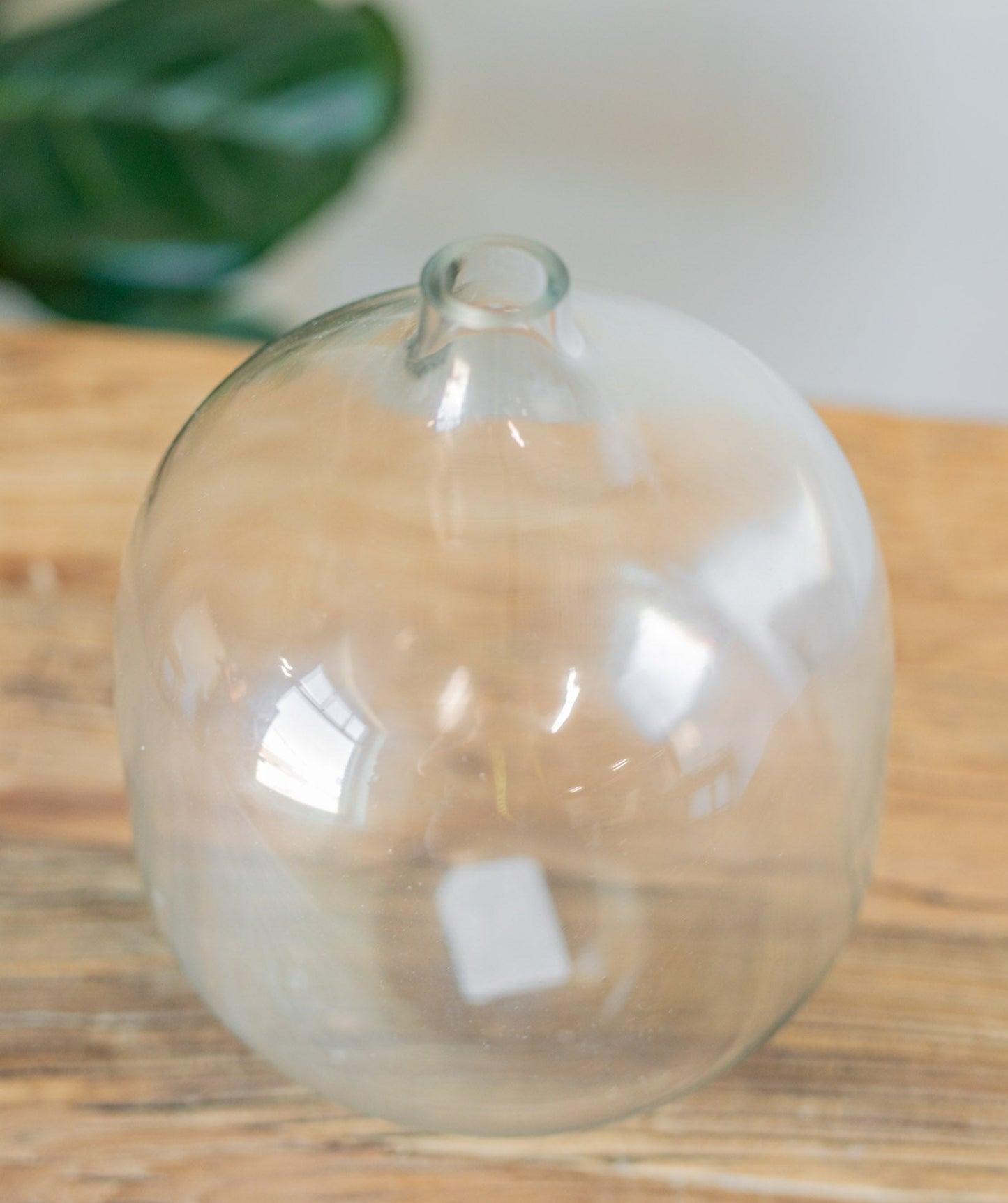 Mileena Clear Glass Vase