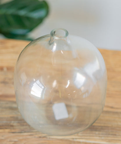 Mileena Clear Glass Vase