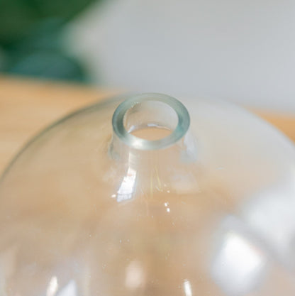 Mileena Clear Glass Vase