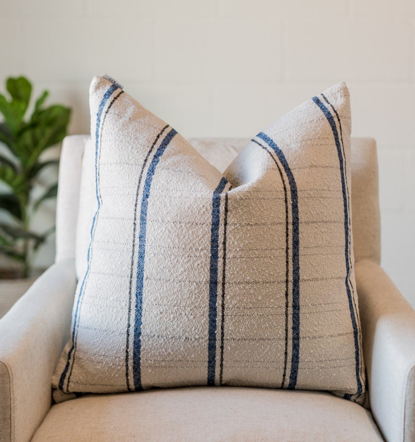 Wooly Bully Accent Pillow