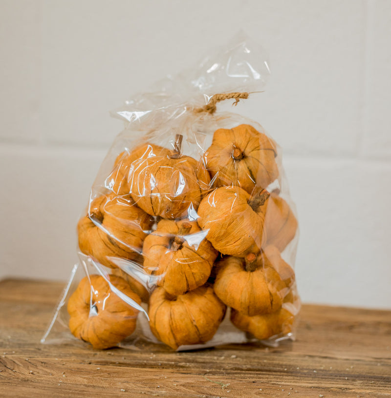 Bag of Mini Faux Pumpkins
