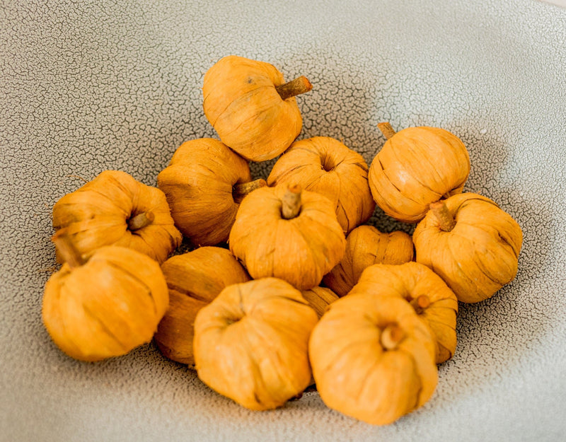 Bag of Mini Faux Pumpkins