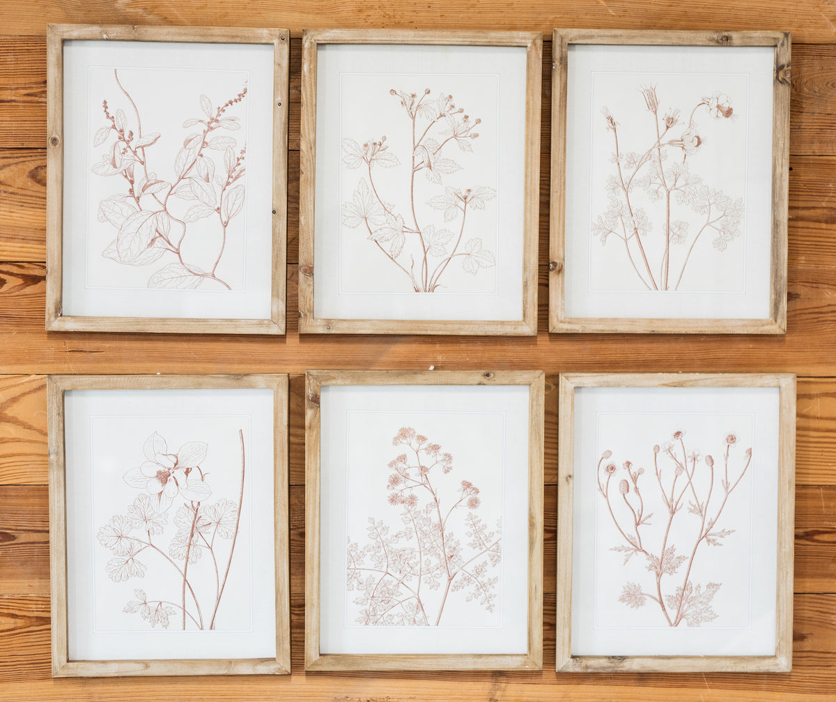 Botanicals in Blush Print
