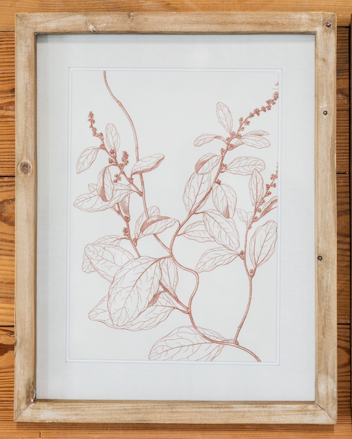 Botanicals in Blush Print