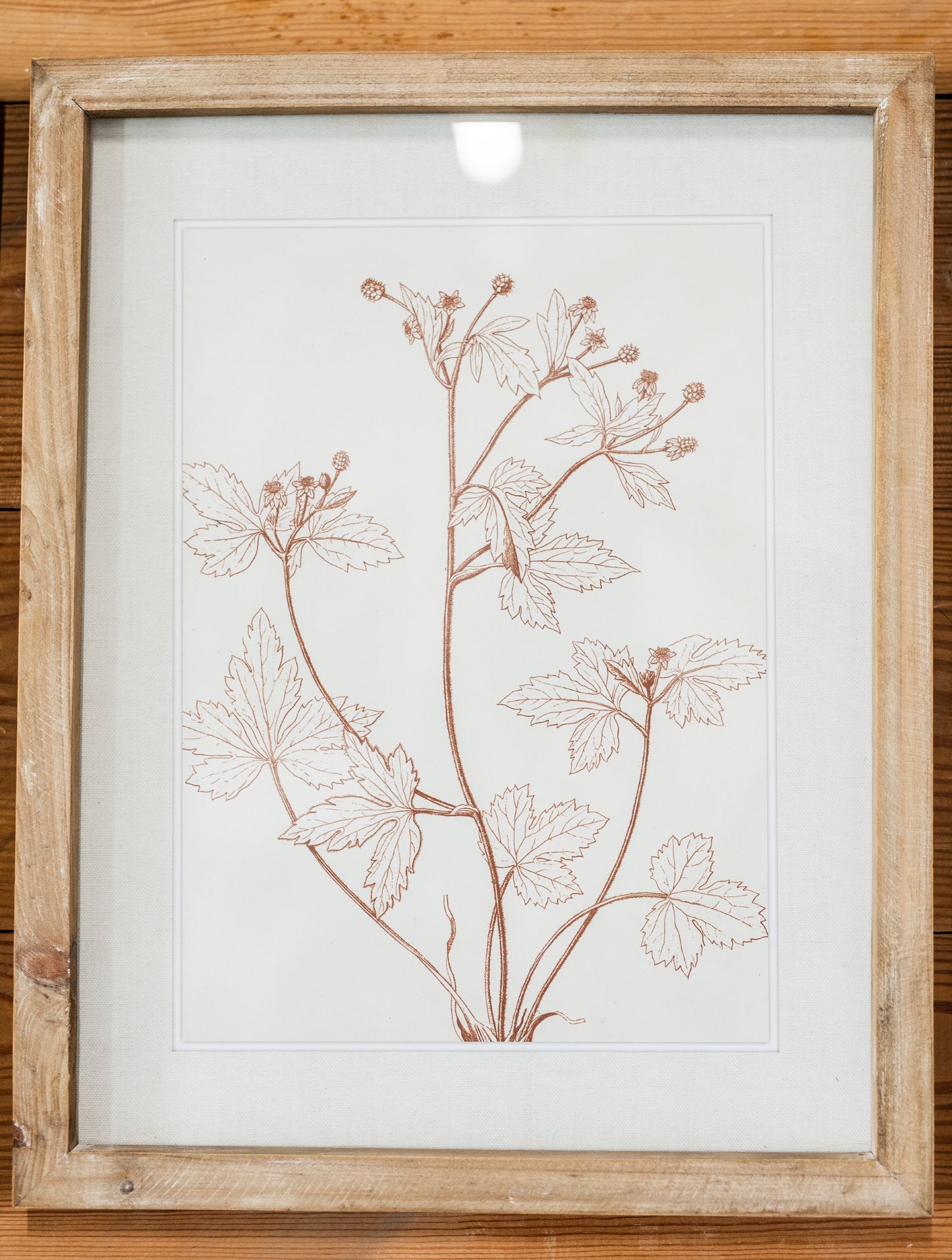 Botanicals in Blush Print