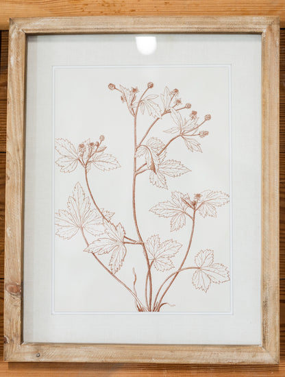 Botanicals in Blush Print