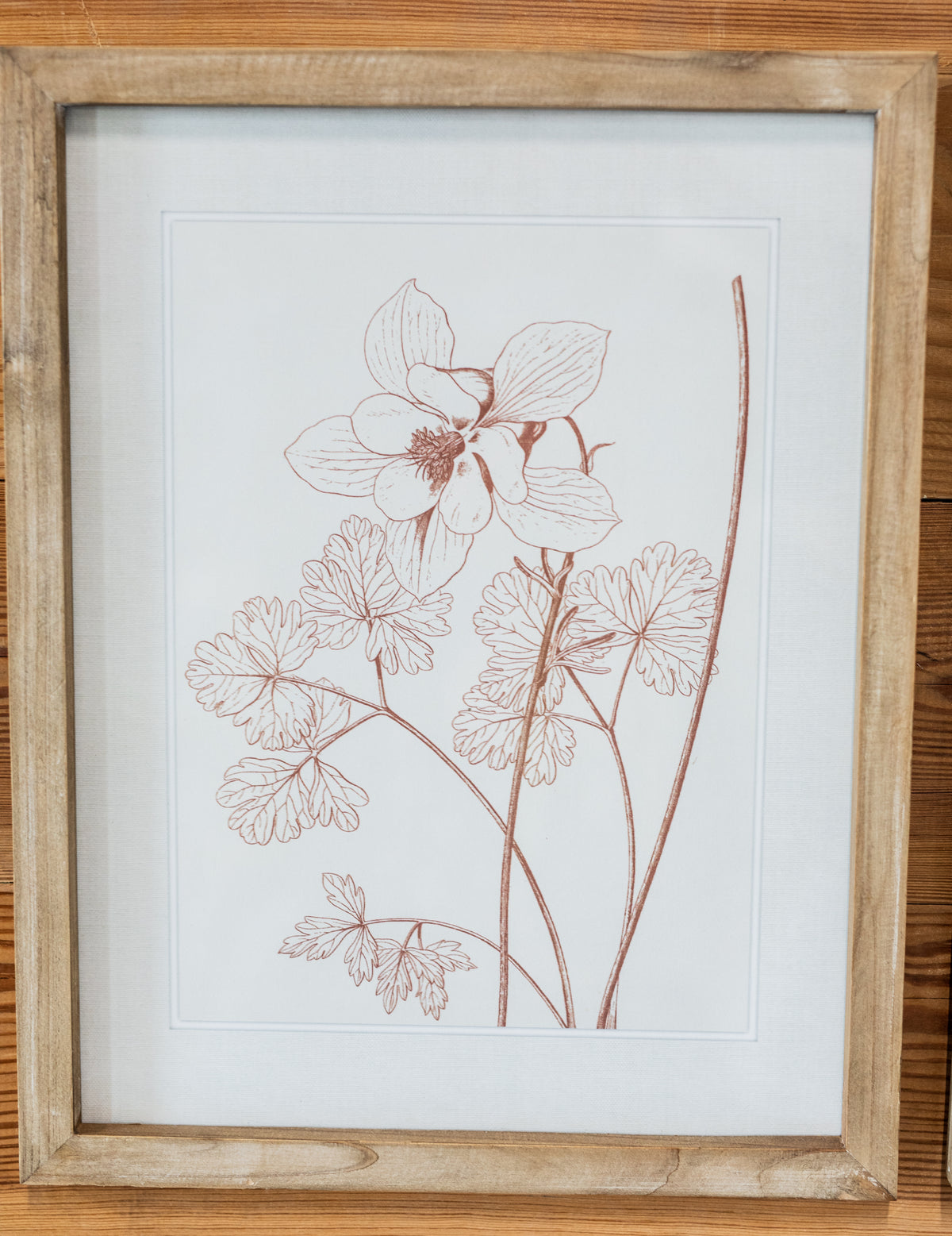 Botanicals in Blush Print