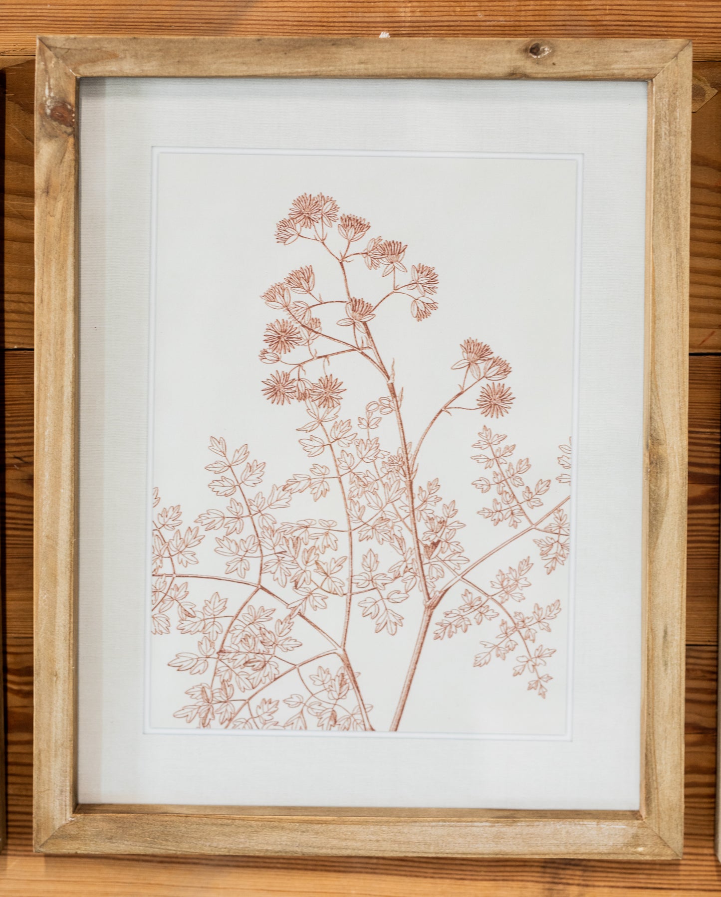 Botanicals in Blush Print