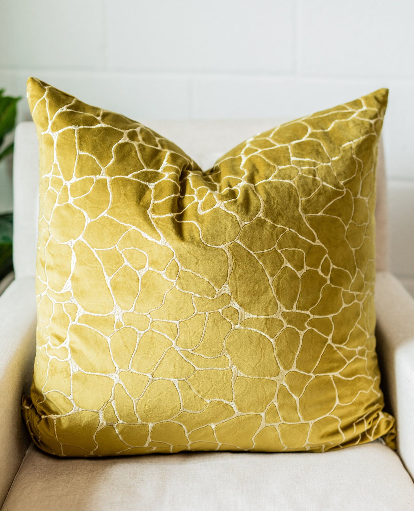 Dare Square Pillow