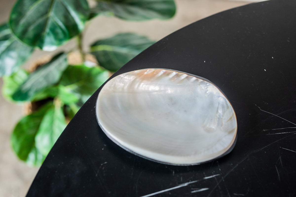 Large Clam Plate w/ Pearl Finish