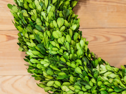 Boxwood Wreath