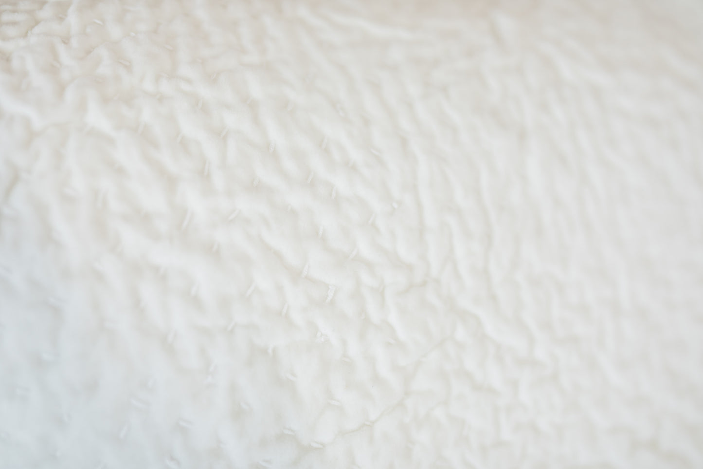 Vela Ivory Velvet Bedding Collection