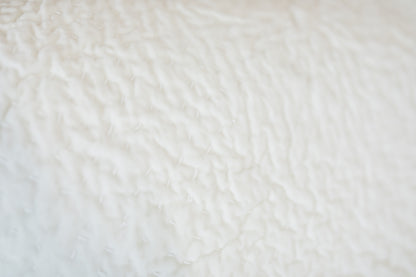 Vela Ivory Velvet Bedding Collection