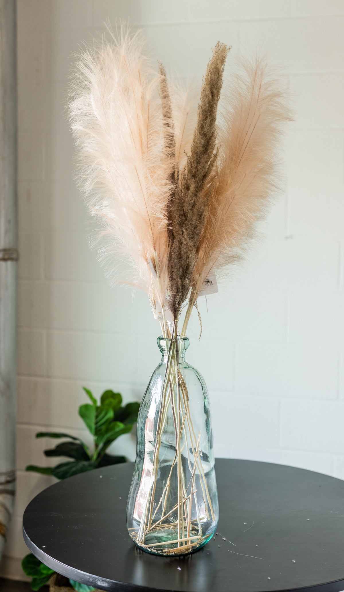 Dried Natural Pampas Grass Bunch