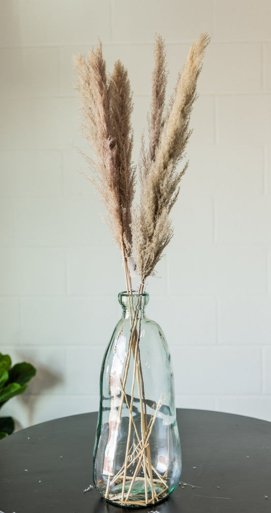Dried Natural Pampas Grass Bunch