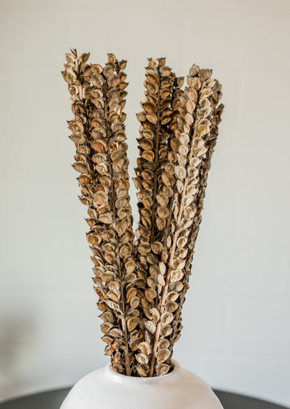 Cotton Petal Stem Bundle