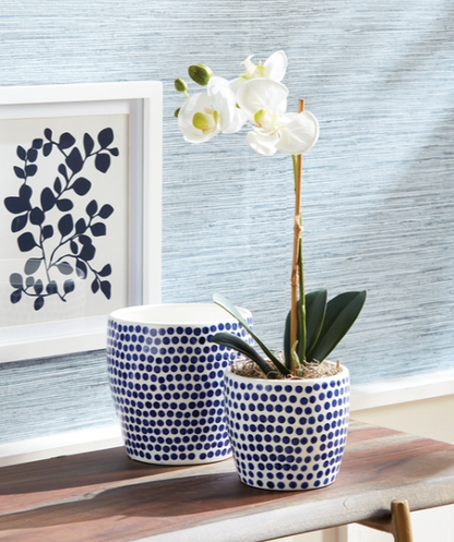 BB Dover Dot Collection