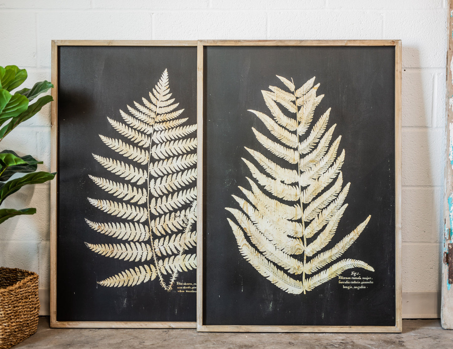 Wood Framed Vintage-Inspired Fern Print