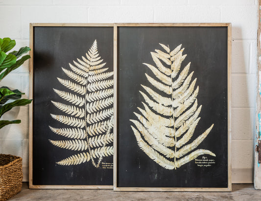 Wood Framed Vintage-Inspired Fern Print