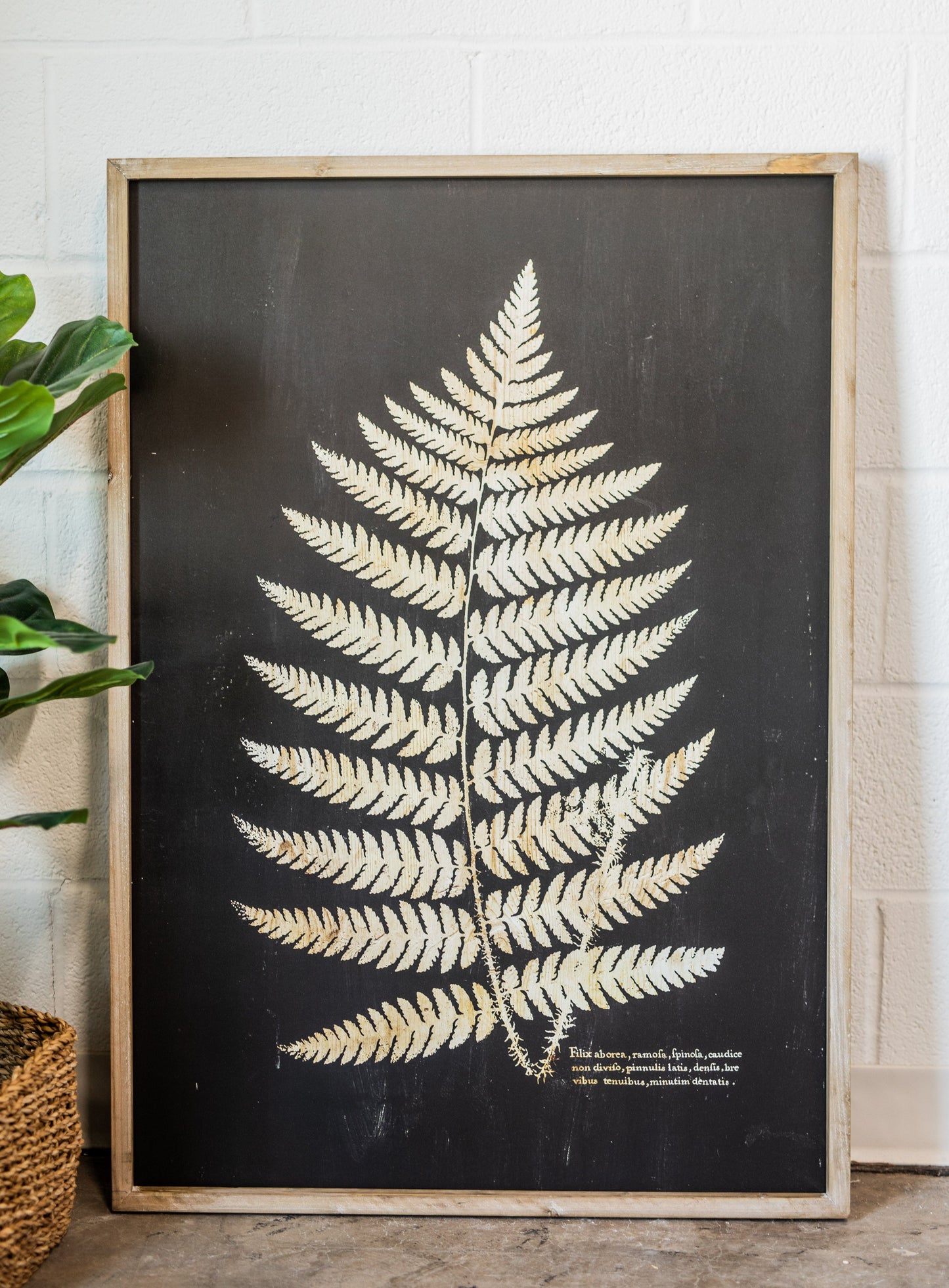 Wood Framed Vintage-Inspired Fern Print