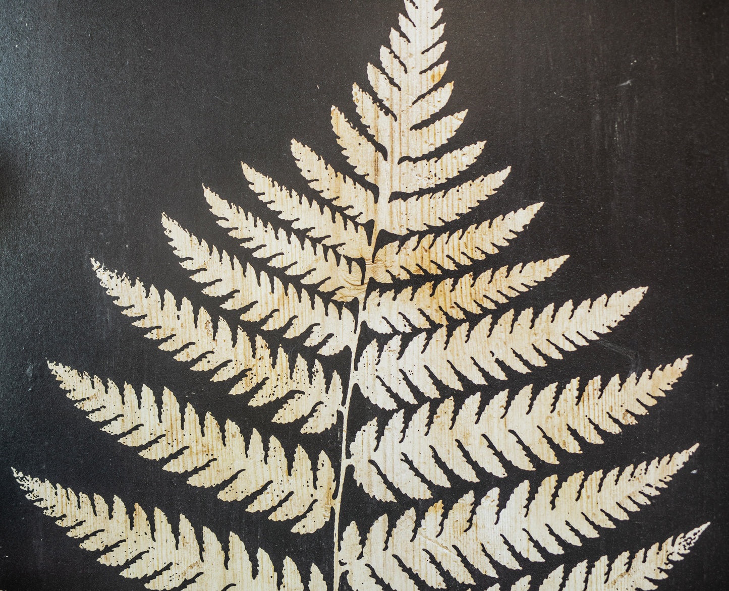 Wood Framed Vintage-Inspired Fern Print
