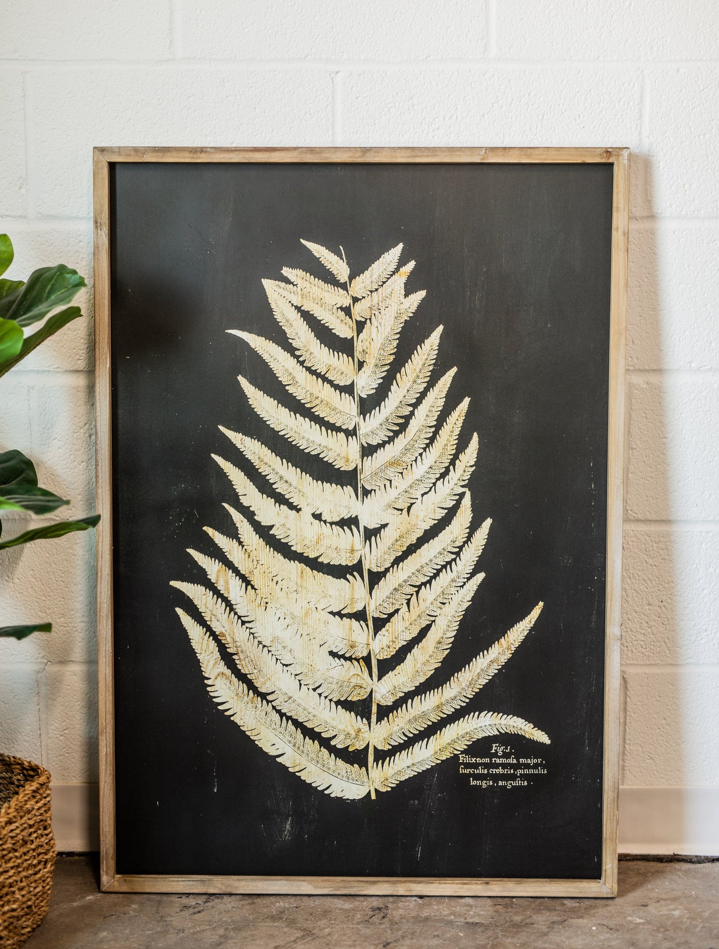 Wood Framed Vintage-Inspired Fern Print
